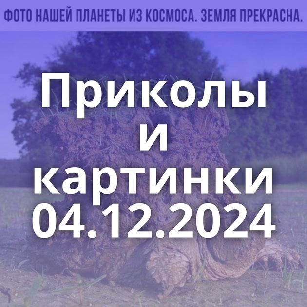 Приколы и картинки 04.12.2024