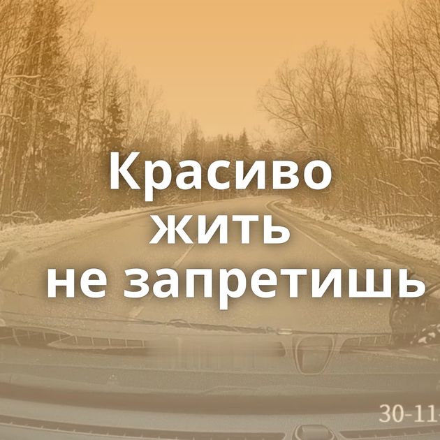 Красиво жить не запретишь