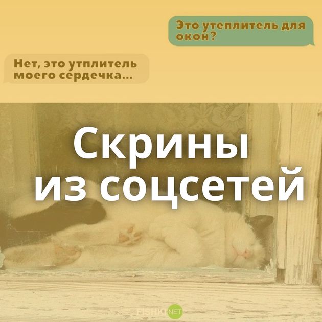 Скрины из соцсетей