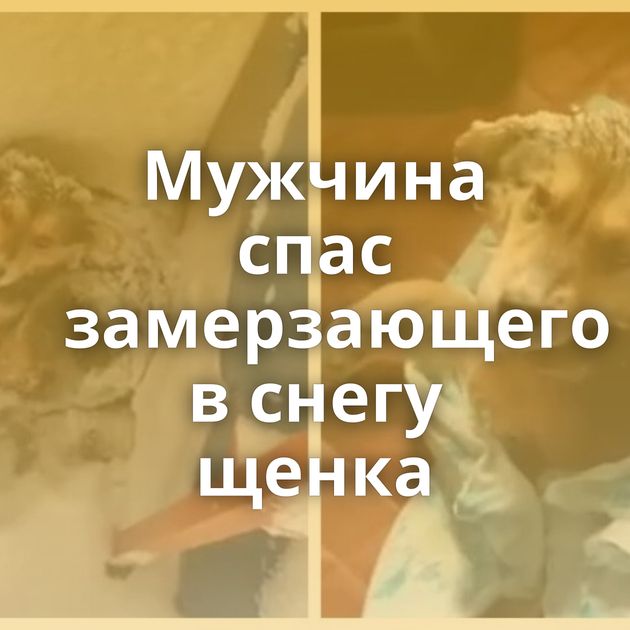 Мужчина спас замерзающего в снегу щенка