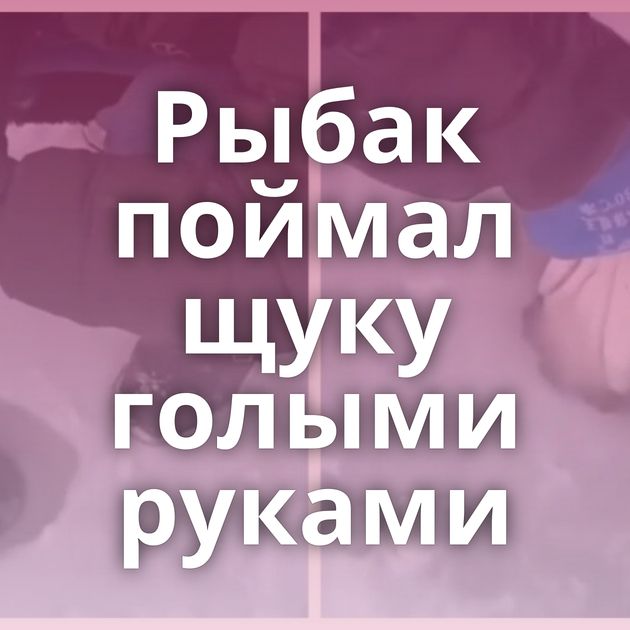 Рыбак поймал щуку голыми руками