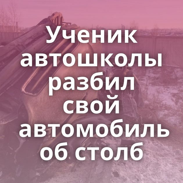 Ученик автошколы разбил свой автомобиль об столб