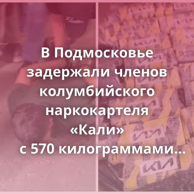 В Подмосковье задержали членов колумбийского наркокартеля «Кали» с 570 килограммами кокаина