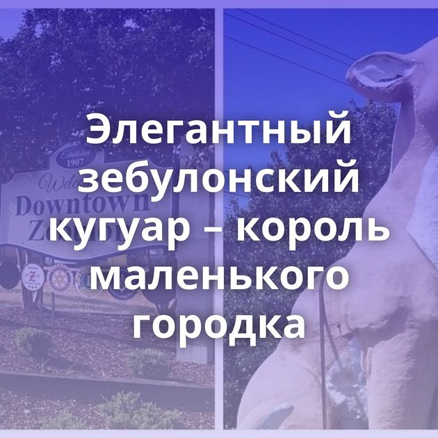 Элегантный зебулонский кугуар – король маленького городка