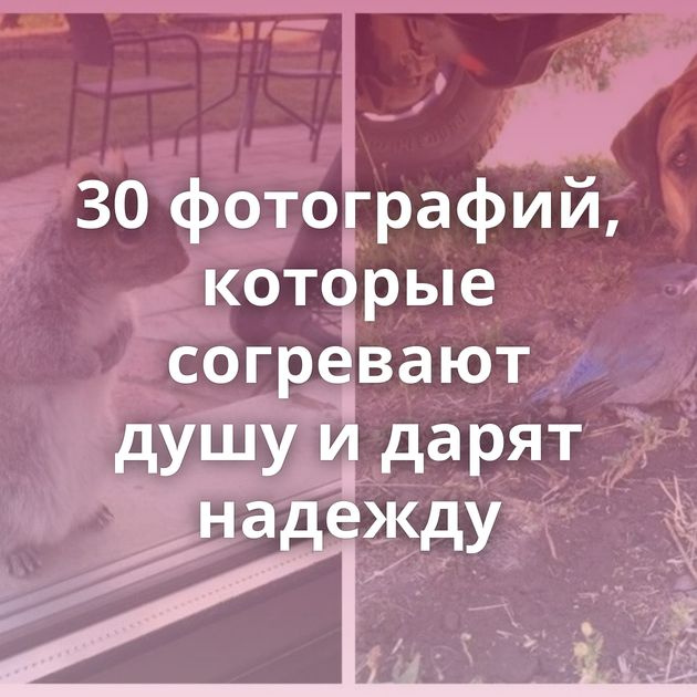 30 фотографий, которые согревают душу и дарят надежду