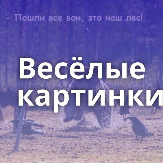 Весёлые картинки