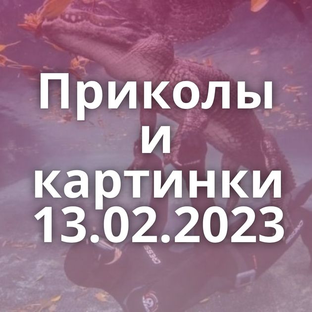 Приколы и картинки 13.02.2023