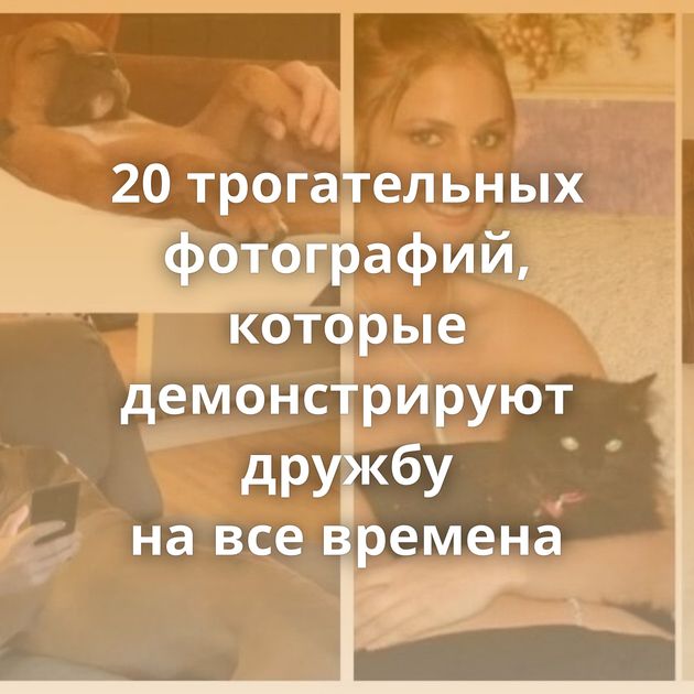 20 трогательных фотографий, которые демонстрируют дружбу на все времена