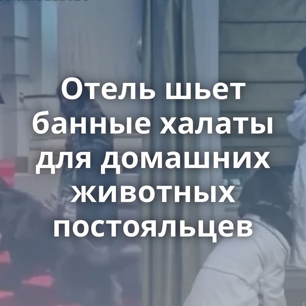 Отель шьет банные халаты для домашних животных постояльцев