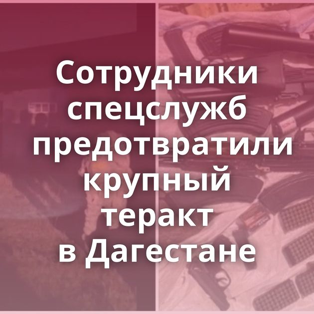 Сотрудники спецслужб предотвратили крупный теракт в Дагестане