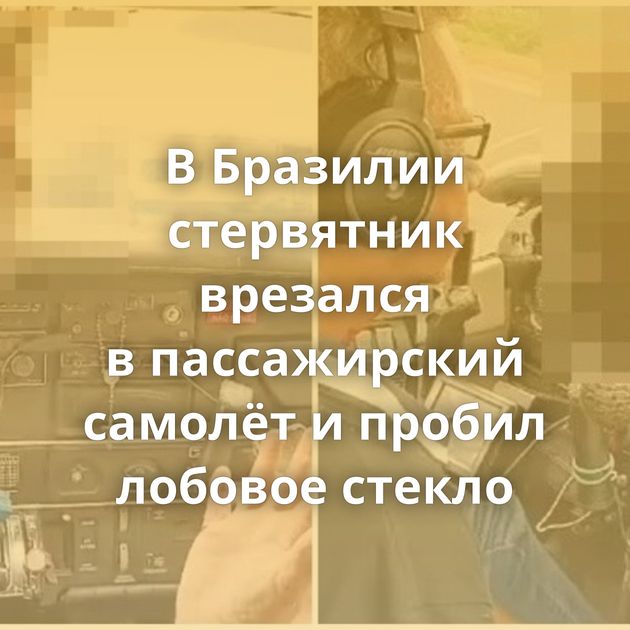 В Бразилии стервятник врезался в пассажирский самолёт и пробил лобовое стекло