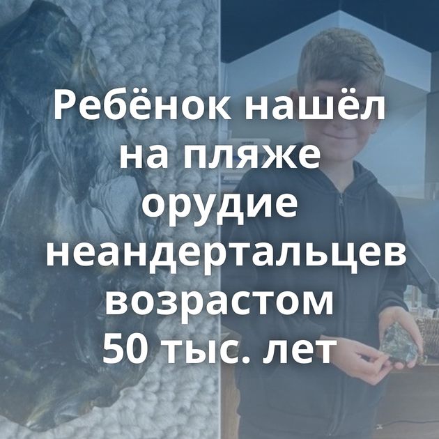 Ребёнок нашёл на пляже орудие неандертальцев возрастом 50 тыс. лет