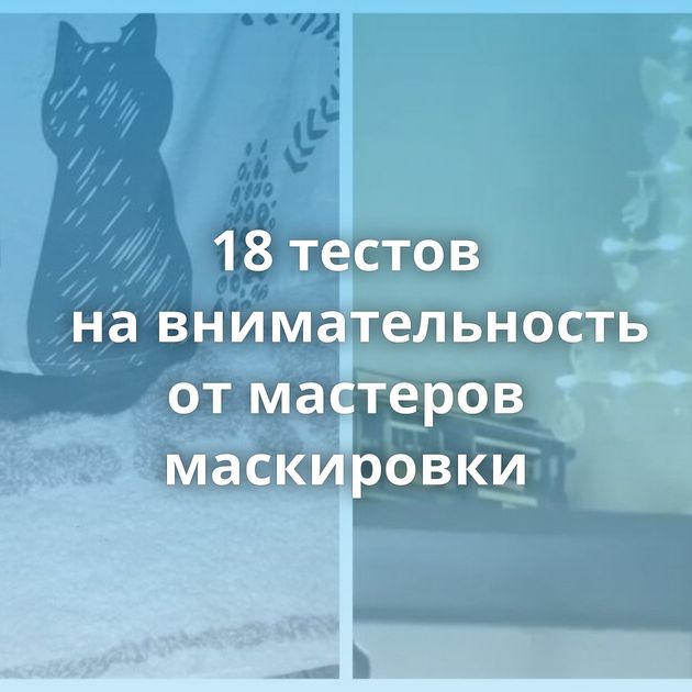 18 тестов на внимательность от мастеров маскировки