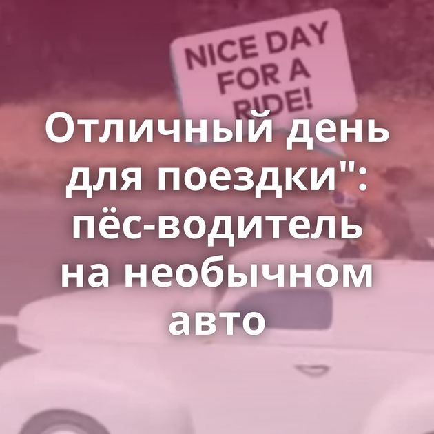 Отличный день для поездки