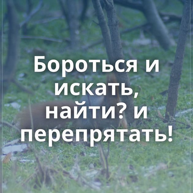 Бороться и искать, найти? и перепрятать!