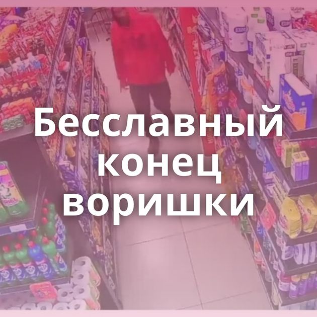 Бесславный конец воришки