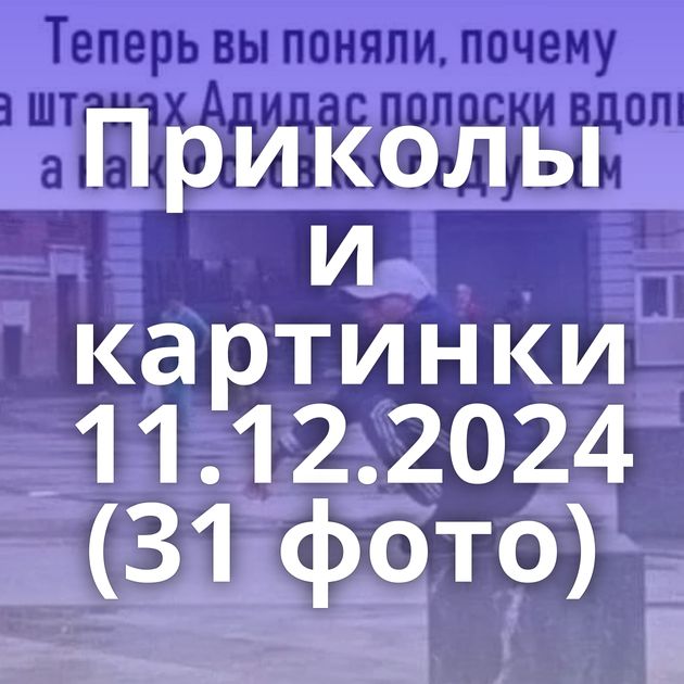 Приколы и картинки 11.12.2024 (31 фото)