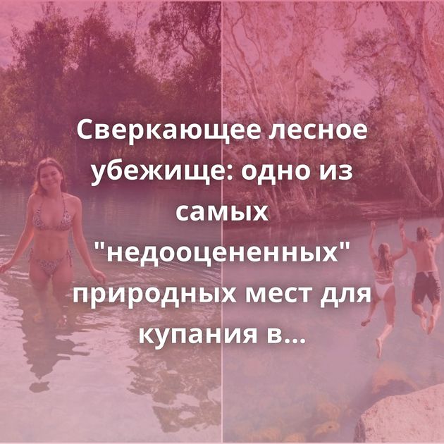 Сверкающее лесное убежище: одно из самых 