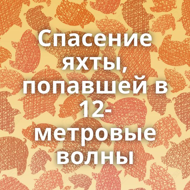 Спасение яхты, попавшей в 12-метровые волны