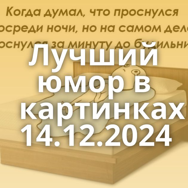 Лучший юмор в картинках 14.12.2024