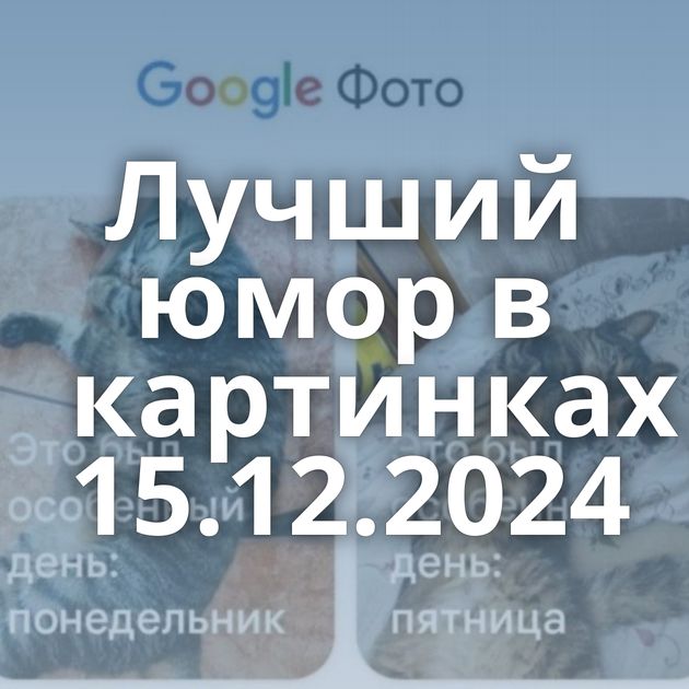 Лучший юмор в картинках 15.12.2024