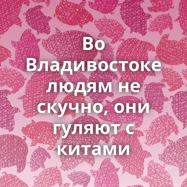 Во Владивостоке людям не скучно, они гуляют с китами