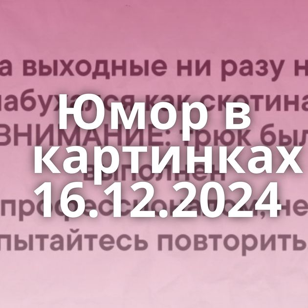 Юмор в картинках 16.12.2024