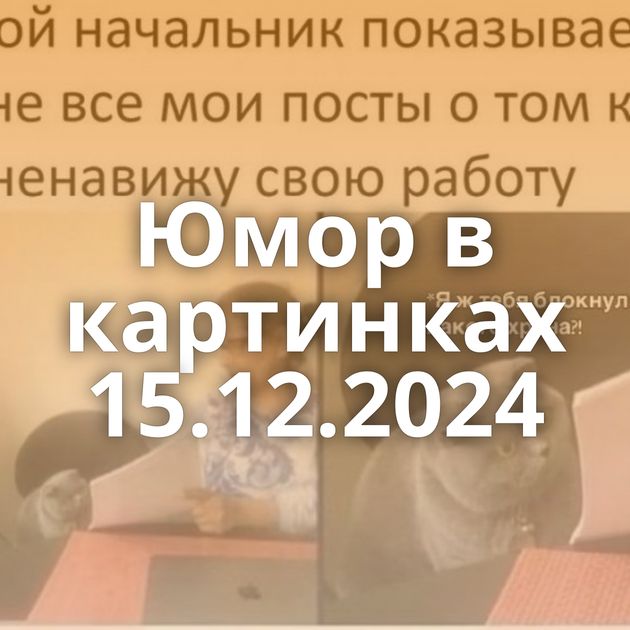 Юмор в картинках 15.12.2024