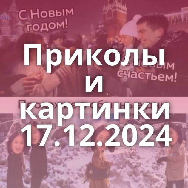 Приколы и картинки 17.12.2024