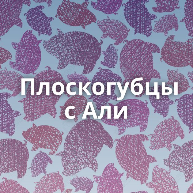 Плоскогубцы с Али