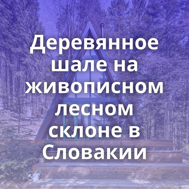 Деревянное шале на живописном лесном склоне в Словакии