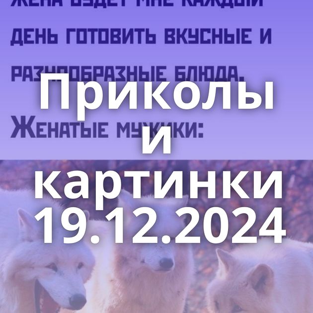 Приколы и картинки 19.12.2024