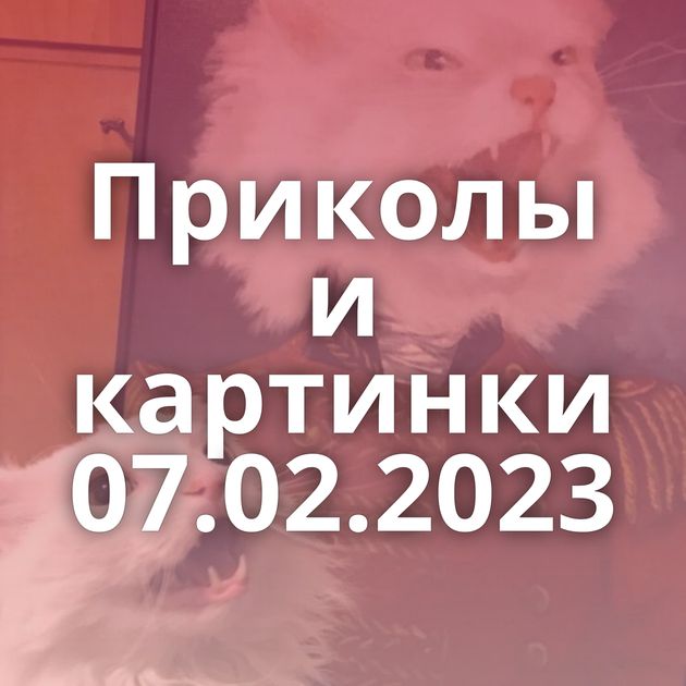 Приколы и картинки 07.02.2023