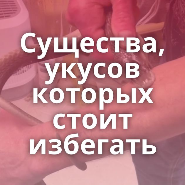 Существа, укусов которых стоит избегать