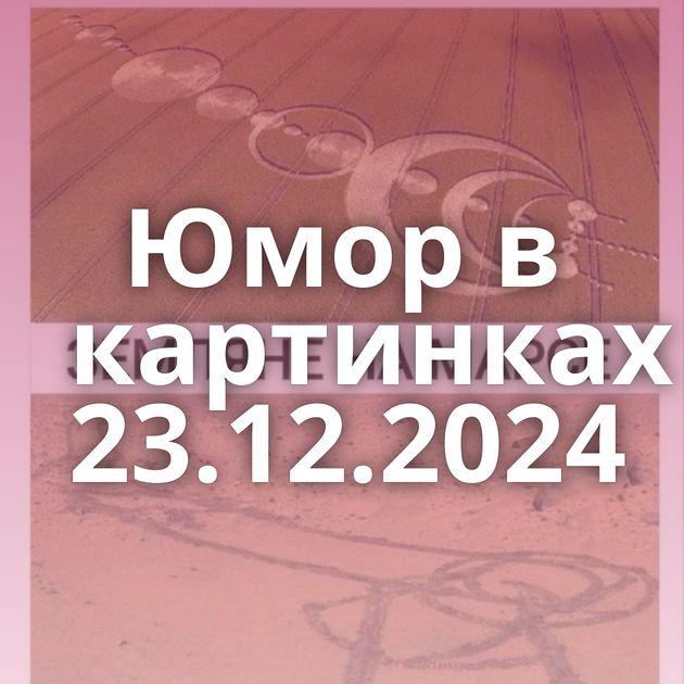 Юмор в картинках 23.12.2024