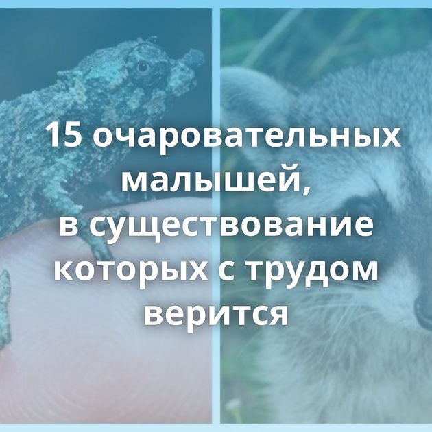 15 очаровательных малышей, в существование которых с трудом верится