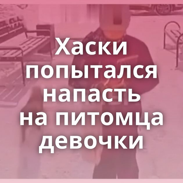 Хаски попытался напасть на питомца девочки