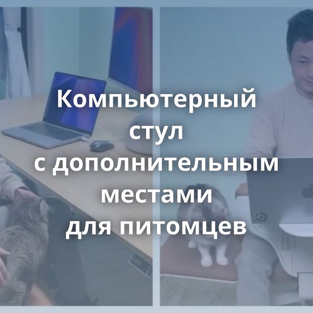 Компьютерный стул с дополнительным местами для питомцев