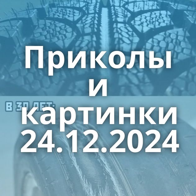 Приколы и картинки 24.12.2024