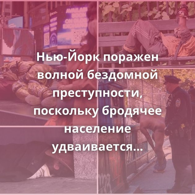 Нью-Йорк поражен волной бездомной преступности, поскольку бродячее население удваивается за 10 лет