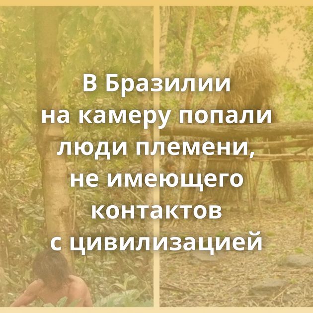 В Бразилии на камеру попали люди племени, не имеющего контактов с цивилизацией