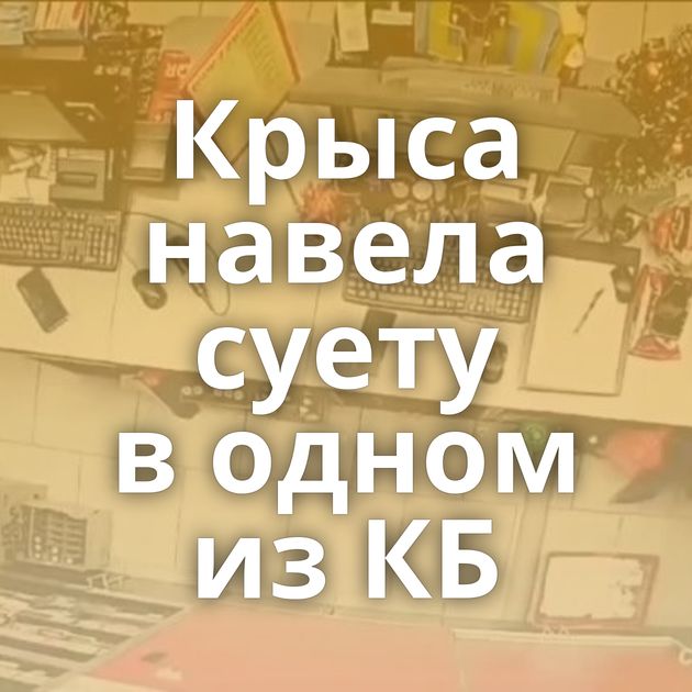 Крыса навела суету в одном из КБ