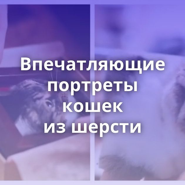 Впечатляющие портреты кошек из шерсти