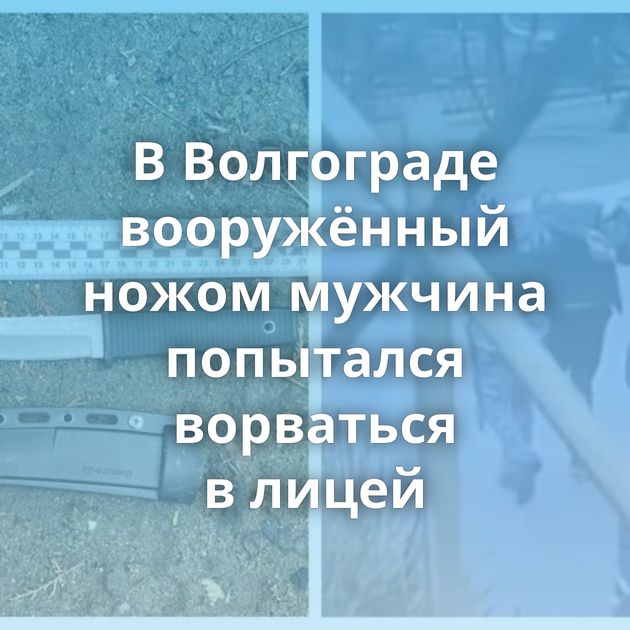 В Волгограде вооружённый ножом мужчина попытался ворваться в лицей