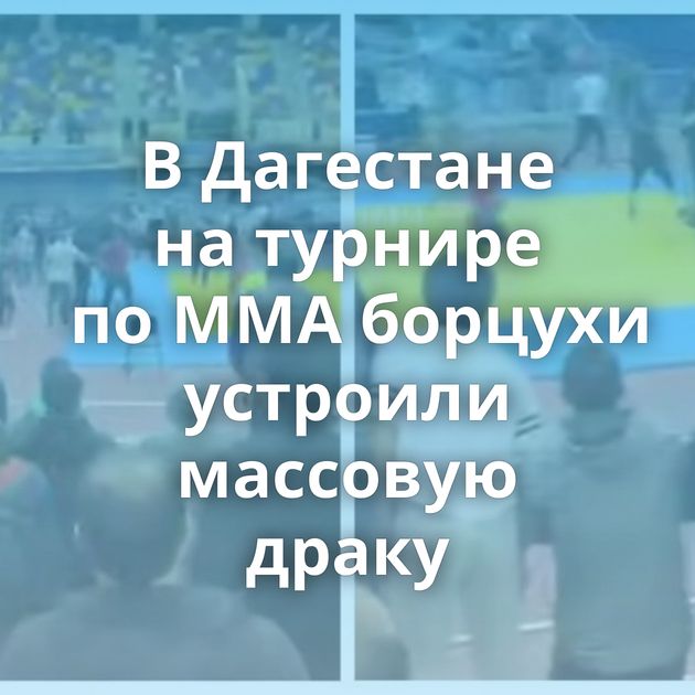 В Дагестане на турнире по ММА борцухи устроили массовую драку