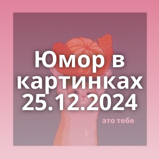 Юмор в картинках 25.12.2024