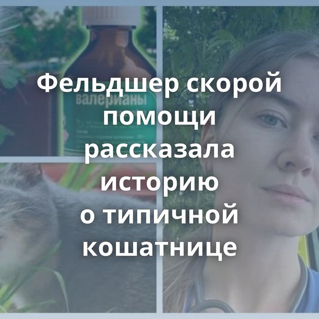 Фельдшер скорой помощи рассказала историю о типичной кошатнице