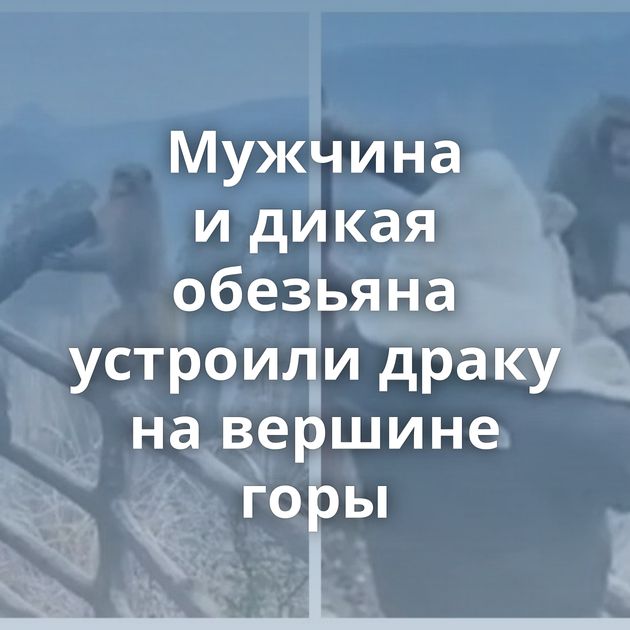 Мужчина и дикая обезьяна устроили драку на вершине горы