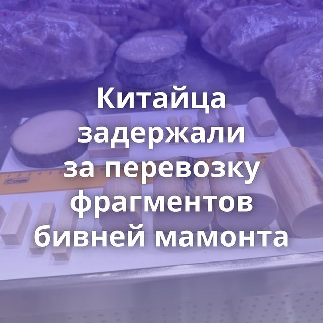 Китайца задержали за перевозку фрагментов бивней мамонта