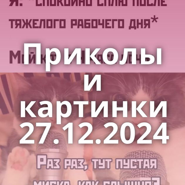 Приколы и картинки 27.12.2024